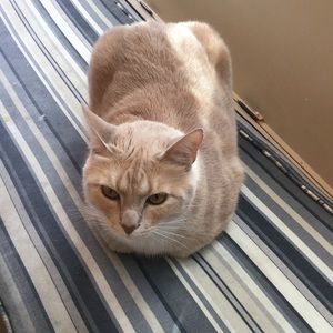 Meet your Posher, Eli